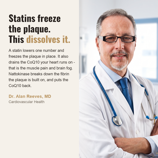 Nattokinase authority