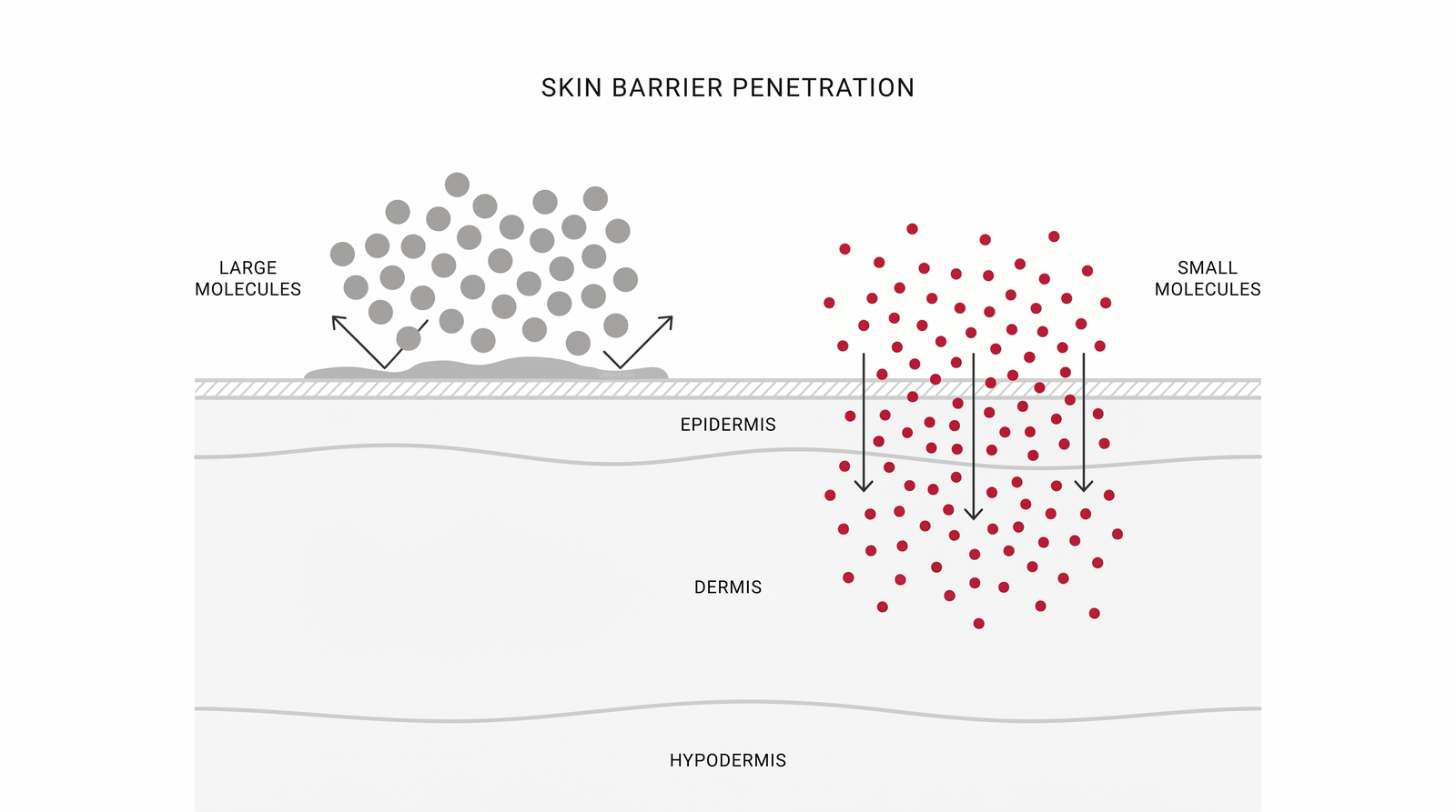 Why Your $300 Cream Isn’t Working